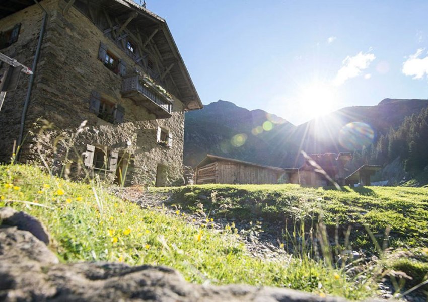 Wandern in Dorf Tirol über Wiesen entlang von alten Gehöften